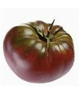 Cherokee Purple Tomato seeds 20 seeds! *HEIRLOOM* SEEDS OF LIFE - $3.49