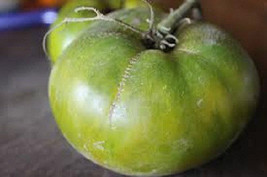 Green Moldovan Tomato 20 Seeds *Heirloom* Seeds Of Life - $3.49