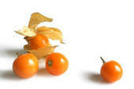 "Ground Cherry" Or Strawberry Husk Tomato *Heirloom* Seeds Of Life - $3.79