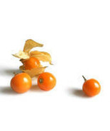 "Ground Cherry" or Strawberry Husk Tomato *HEIRLOOM* SEEDS OF LIFE - $3.79