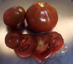 Japanese Black Trifele Tomato 20 Seeds *Heirloom* Seeds Of Life - $3.79