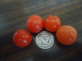 Tiny Tim Dwarf Cherry Tomato 20 Seeds *Heirloom* Seeds Of Life - $3.49