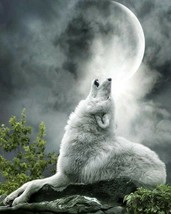 wolf howling at moon nature Print great wall hanging &quot;8x10&quot;decorations p... - $9.99