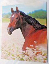 Single Brown Horse 2-Pocket Paper Folder for 8.5″ by 11″ by Top Flight - $3.99