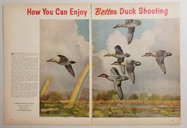 1956 Magazine Picture Green-Winged Teal Ducks in Flight by Artist Peter Scott - $11.57