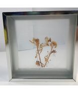Butterfly dried flowers collage wall art diorama silver square framed ta... - $22.00