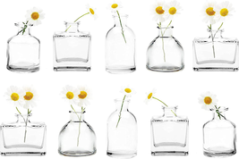 CHIVE ‘Loft’ Small Mini Flower Vases - Clear Glass Bud Vases, Set of 10 - Cute V - £42.68 GBP