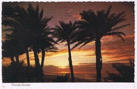 Postcard Florida Sunset Palm Trees - £1.58 GBP