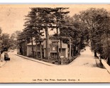 The Pines Street View Coaticook Quebec Canada DB Postcard L20 - $20.74