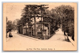The Pines Street View Coaticook Quebec Canada DB Postcard L20 - £16.58 GBP