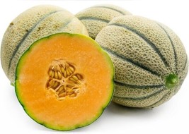 Fresh 15+ Extra Sweet Tuscan Cantaloupe Seeds - £5.44 GBP