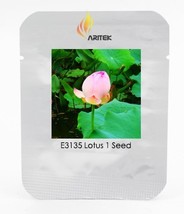 Heirloom Fragrant Ball Pink Nelumbo Nucifera Lotus Flower Seeds, Professional Pa - £2.46 GBP