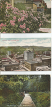 Portland Oregon Postcard Postcard Lot Sectional View Roses &amp; City Park x... - £5.45 GBP