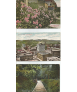 Portland Oregon Postcard Postcard Lot Sectional View Roses &amp; City Park x... - £5.47 GBP