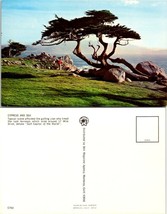 California Pebble Beach 17 Mile Drive Golf Capital of World Ocean VTG Postcard - £7.36 GBP