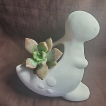 Succulent in Dinosaur Planter, Live California Sunset Sedum White Ceramic Pot 4" image 3
