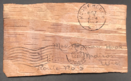 Antique 1900s Birch Bark Flag Cancel Postcard Madison WI  --  5&quot; x 3&quot; - £7.46 GBP