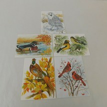 Lot of 5 Blank Note Greeting Cards Fall &amp; Winter Birds Snowy Owl Pheasan... - $7.85