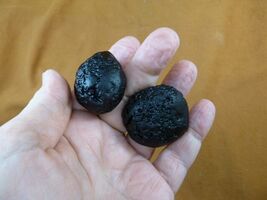 (x-349) set of 2 large Tektites TEKTITE from Impact 700,000 years ago sp... - $13.99