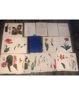 Spring Flowers Portfolio Arlette Davids 31 Color Plates Lithographs 1948... - $97.02