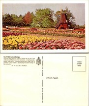 Michigan Holland Tulip Time Festival Netherlands Dutch Windmill Vintage Postcard - £7.36 GBP