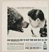 1955 Print Ad Vitalis Men&#39;s Hair Tonic Man &amp; Grizzly Bear Head Mount - £7.85 GBP