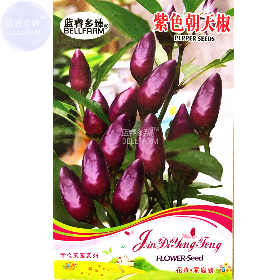 30 Seeds Purple Pod Peper Heirloom Violet Cluster Chilli Seeds Hot Fresh - $3.44