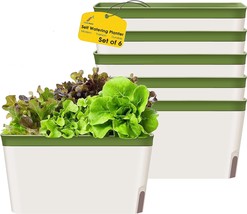 Set Of 6 (6, Green(Rectangle)) Gardenbasix Self Watering Planter Pots Window Box - £37.73 GBP