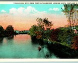 Tioughnioga River Cortland New York NY UNP Unused WB Postcard F13 - £11.61 GBP