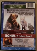 The Winslow Story Book - The Christmas Bear (DVD, 2012) - £1.56 GBP
