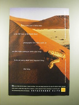 1995 Kodak Ektachrome Elite Film Ad - Thirty inches from a lethal adder - £14.30 GBP