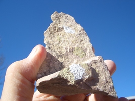 COFFINITE  URANIUM  ROCK   7.7oz. wgt.;  23,200. CPM   $21.00 + $12,80 S... - $21.00