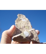 COFFINITE  URANIUM  ROCK   7.7oz. wgt.;  23,200. CPM   $21.00 + $12,80 S... - $21.00