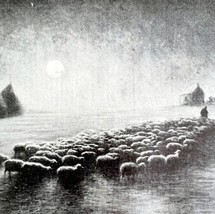 Clair De Lune Sheep Le Noel Christmas 1911 Antique Print French DWT14A - £20.13 GBP