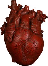 Yunqin Decorative Heart Vase, Resin Vase Flower Pot - Anatomical Heart, S). - £28.65 GBP