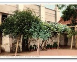 Rose Tree San Gabriel Archangel Mission CA Detroit Publishing UNP  Postc... - £2.33 GBP