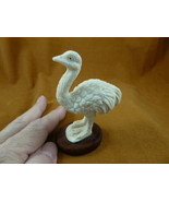 (OST-W1) little Ostrich shed ANTLER figurine on base Bali detailed carvi... - $84.14