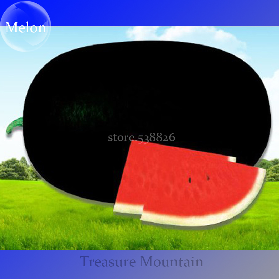 Hot Sale High Yield Of 6000Kg/667M2 Black Skin Oval Shape Watermelon See... - $6.80