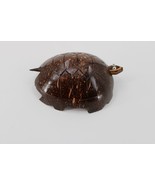 WOODEN COCONUT SHELL TURTLE W/ FLOATING TAIL AND HEAD HAWAIIAN GIFT SOUV... - $19.99