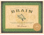 Wizard Of Oz Emerald City Certification Of Brains The Scarecrow Prop/Rep... - £2.40 GBP