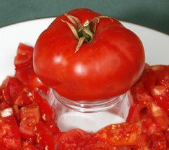 SL 50 Seeds Rivieratomato Tomatoe Vegetable Garden Edible Canning - £2.36 GBP