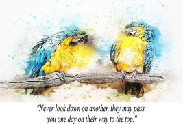 Bird Cockatiel Parrot Look Down On Ambition Poster With Quotation Quality Print - £5.50 GBP+
