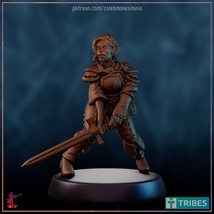 Anessah Version A or B | Bronze Elf Series Adventurer * Dungeons and Dra... - $6.99