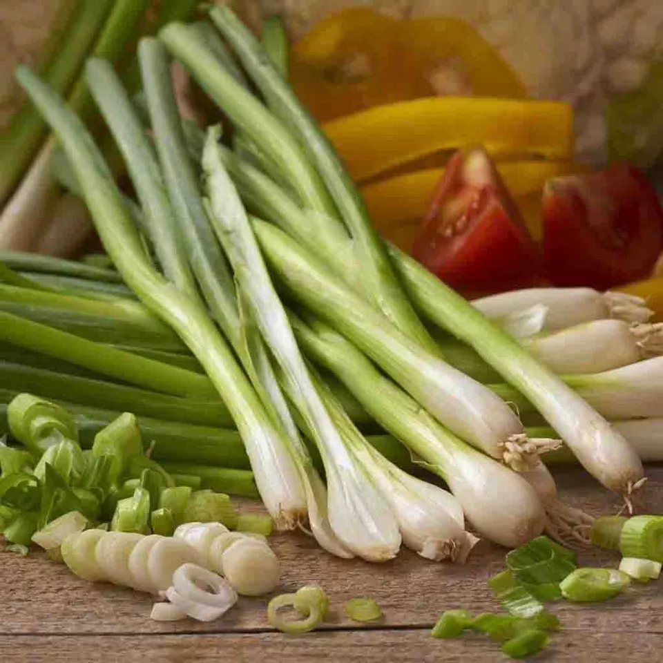 250 Seeds White Lisbon Bunching Onion NON-GMO - £2.99 GBP