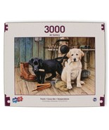 3000 Pc Puzzle Labrador Puppies Breaktime Sure-Lox 42 X 32 Inches NEW Se... - £14.14 GBP