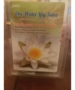One Water Lily tuber - Nymphaea Albida - $55.83 CAD