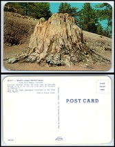 COLORADO Postcard - Pikes Peak Region, World&#39;s Largest Petrified Stump M18 - £2.31 GBP