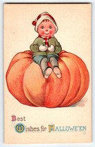 Halloween Postcard Boy Sits On BIG Pumpkin Winsch Back Gottschalk Dreyfu... - £164.21 GBP