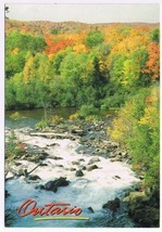 Postcard Ragged Falls Near Algonquin Park Ontario 4.75&quot; x 6.75&quot; - £3.08 GBP