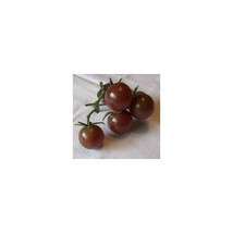 15 Blackest Cherry Tomato Seeds-1201 - £3.11 GBP